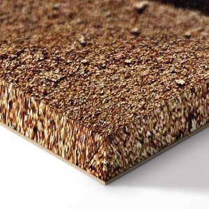 Tableau - Feather on the Sand (1 Part) Vertical