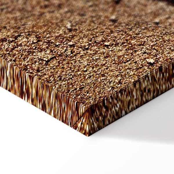 Tableau - Feather on the Sand (1 Part) Vertical