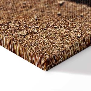 Tableau - Feather on the Sand (1 Part) Vertical