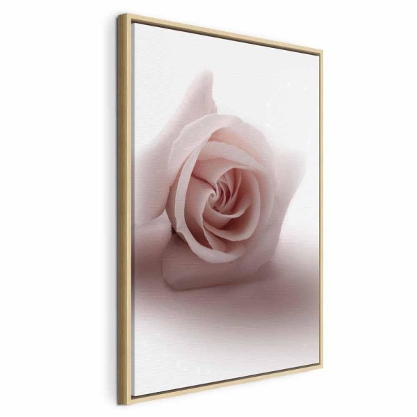 Tableau - Floral Glamour Glow (1-part) - Delicate and Pastel Pink Rose