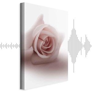 Tableau - Floral Glamour Glow (1-part) - Delicate and Pastel Pink Rose