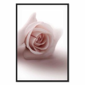 Tableau - Floral Glamour Glow (1-part) - Delicate and Pastel Pink Rose