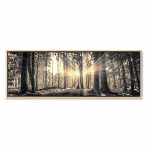 Tableau - Forest Sun