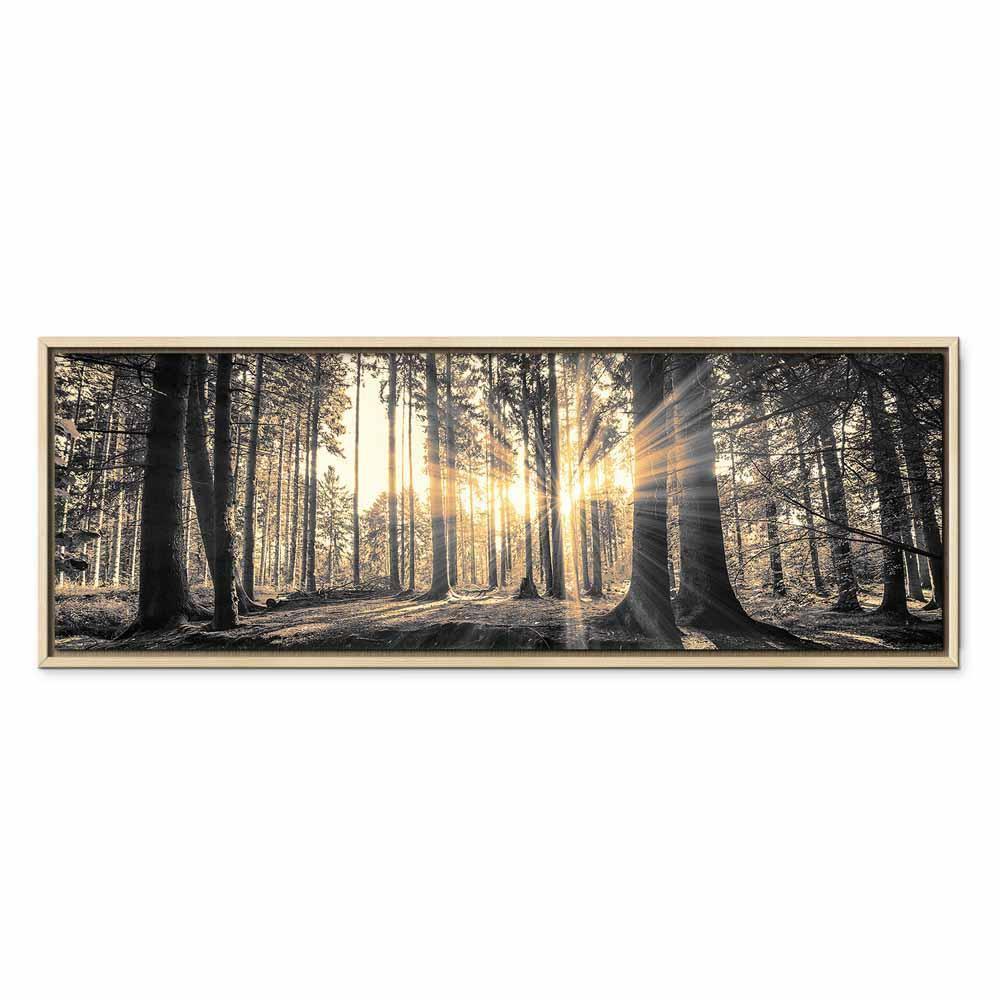 Tableau - Forest Sun