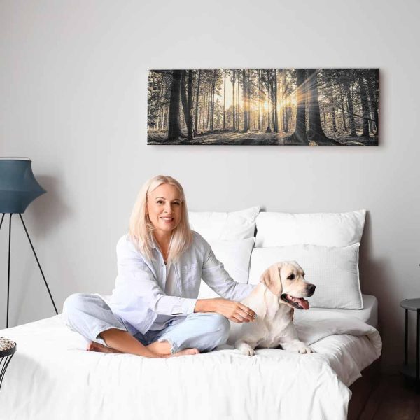 Tableau - Forest Sun