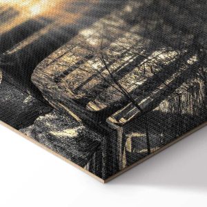 Tableau - Forest Sun