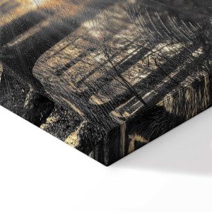 Tableau - Forest Sun