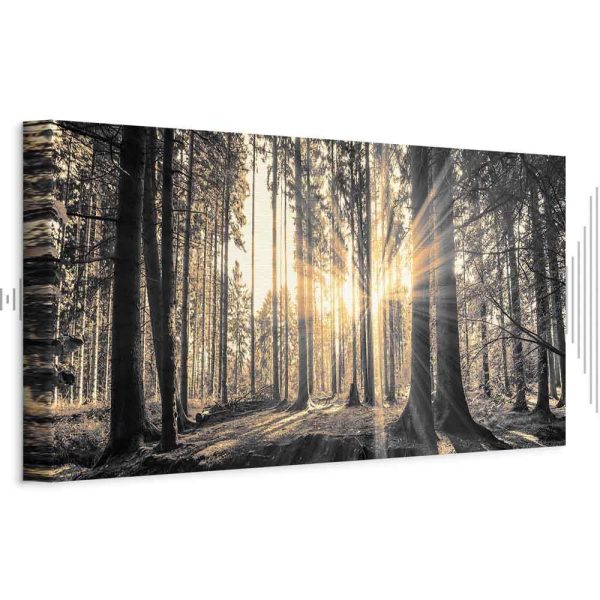 Tableau - Forest Sun Tableau - Forest Sun
