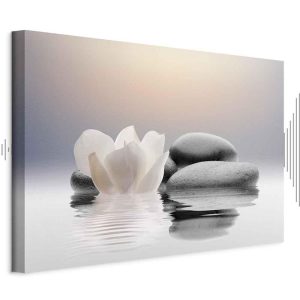 Tableau - Garden of Calm