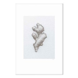 Tableau - Ginger (1 Part) Vertical