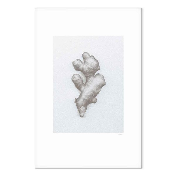 Tableau - Ginger (1 Part) Vertical