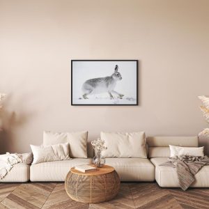 Tableau - Hare (1 Part) Wide