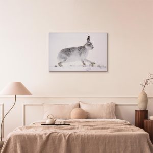 Tableau - Hare (1 Part) Wide