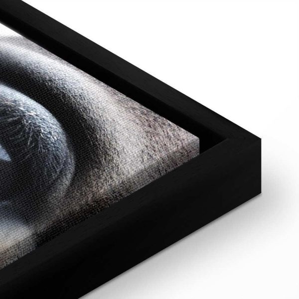 Tableau - Honest Eyes (1 Part) Vertical