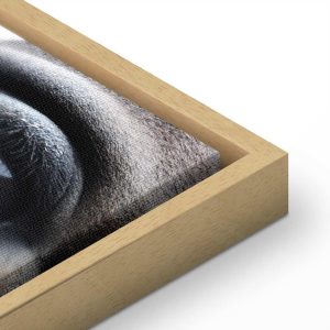 Tableau - Honest Eyes (1 Part) Vertical