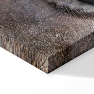 Tableau - Honest Eyes (1 Part) Vertical