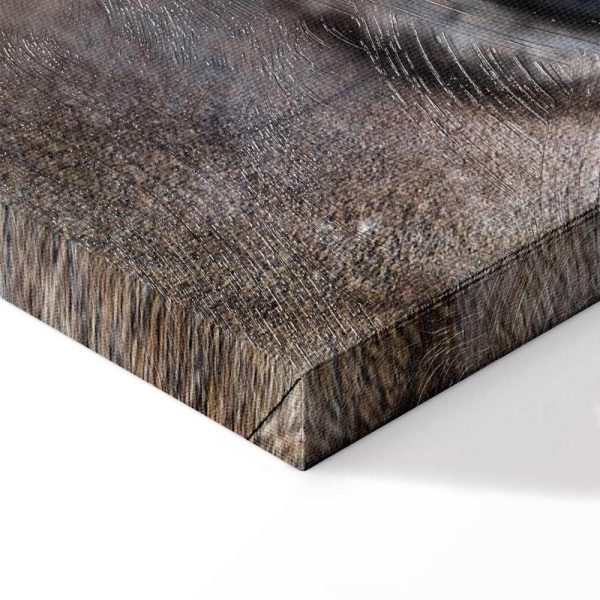 Tableau - Honest Eyes (1 Part) Vertical