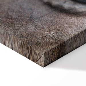 Tableau - Honest Eyes (1 Part) Vertical