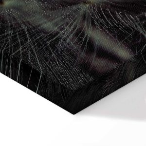 Tableau - Last Hope (1 Part) Vertical