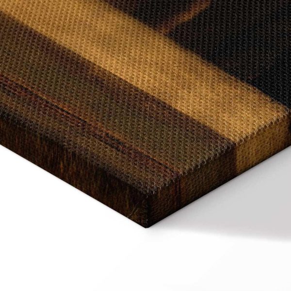 Tableau - Leonardo da Vinci – Beautiful Ferronière