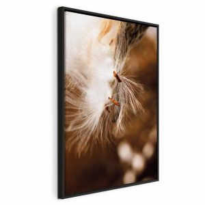 Tableau - Light Rocking (1 Part) Vertical