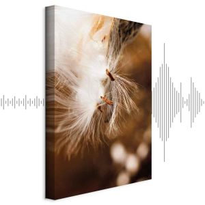 Tableau - Light Rocking (1 Part) Vertical