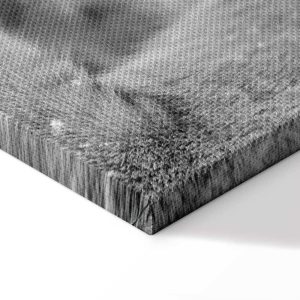 Tableau - Lion's Love