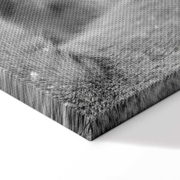 Tableau - Lion's Love