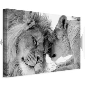 Tableau - Lion's Love