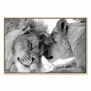 Tableau - Lion's Love