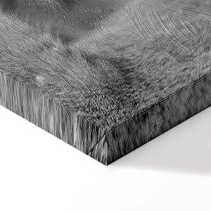 Tableau - Lion's Love