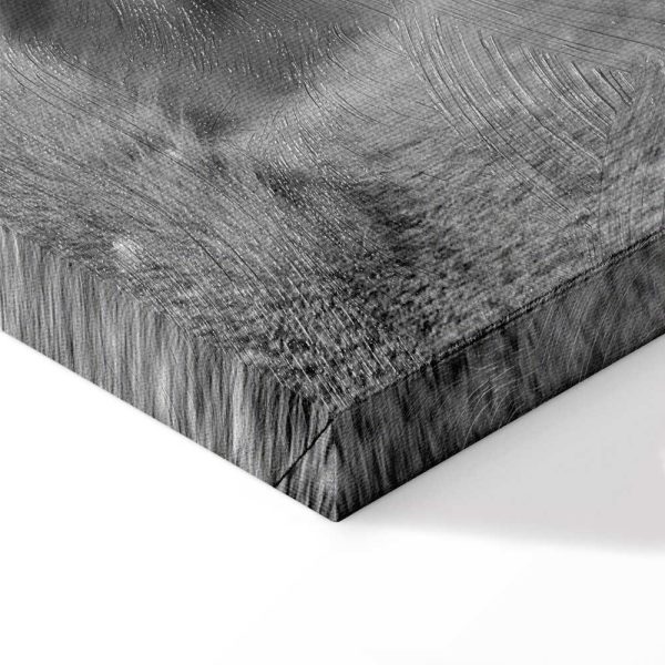 Tableau - Lion's Love