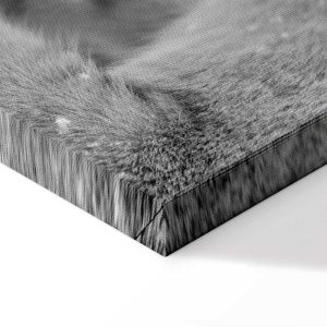 Tableau - Lion's Love