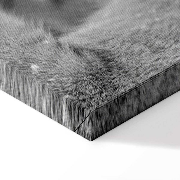 Tableau - Lion's Love