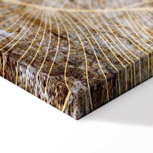 Tableau - Magic of Luxury (1 Part) Narrow