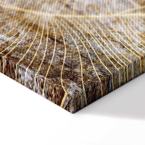 Tableau - Magic of Luxury (1 Part) Narrow