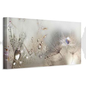 Tableau - Morning Song