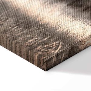 Tableau - My Story (1 Part) Vertical