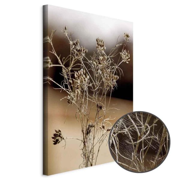 Tableau - Passionate Maturity (1 Part) Vertical