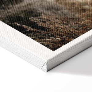 Tableau - Sepia Park (1 Part) Vertical