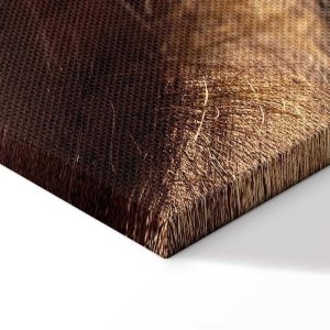 Tableau - Shivering Whispers (1 Part) Vertical