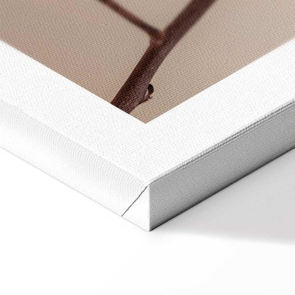 Tableau - Softness of Cotton (1 Part) Vertical