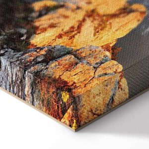 Tableau - Sun Salutation