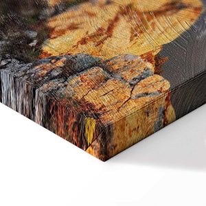 Tableau - Sun Salutation