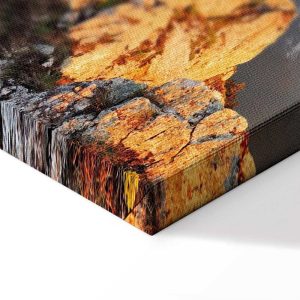 Tableau - Sun Salutation