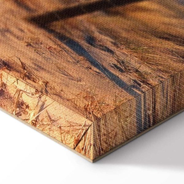 Tableau - Sunset Path