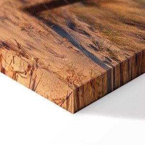 Tableau - Sunset Path