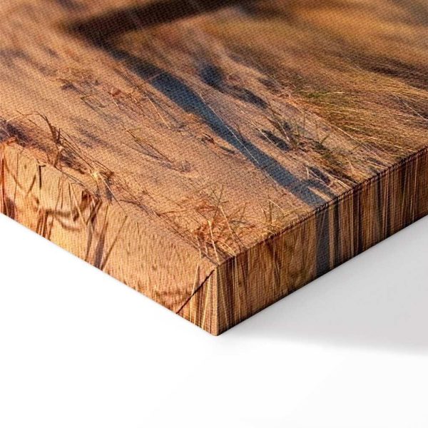 Tableau - Sunset Path