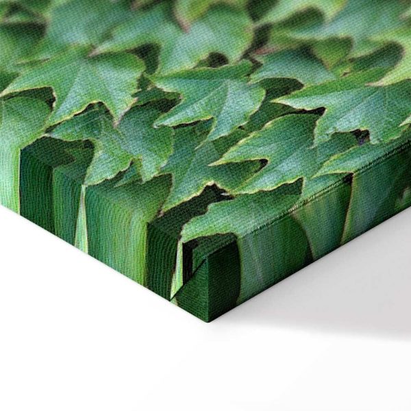 Tableau - Thick Ivy (1 Part) Vertical