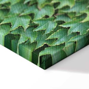 Tableau - Thick Ivy (1 Part) Vertical